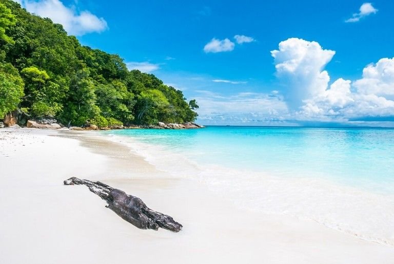 Turtle Beach at Havelock Island
