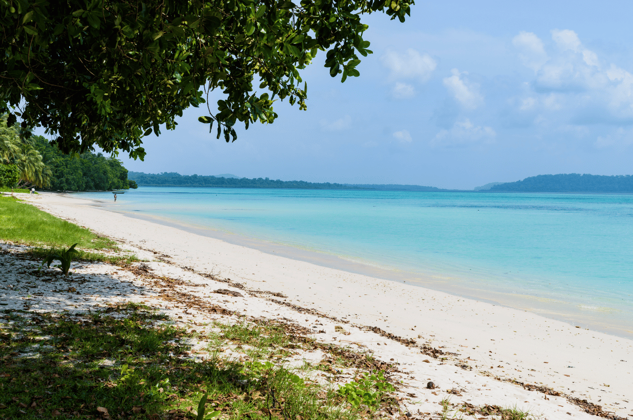 Private Charter Game Fishing in Havelock Island (2026)
