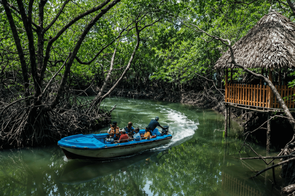 Baratang Island - Limestone Caves & Mud Volcanoes