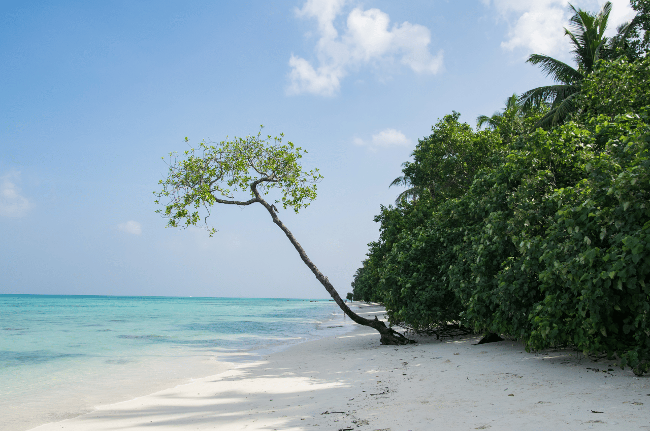15 Most Beautiful Beaches of Andaman Islands