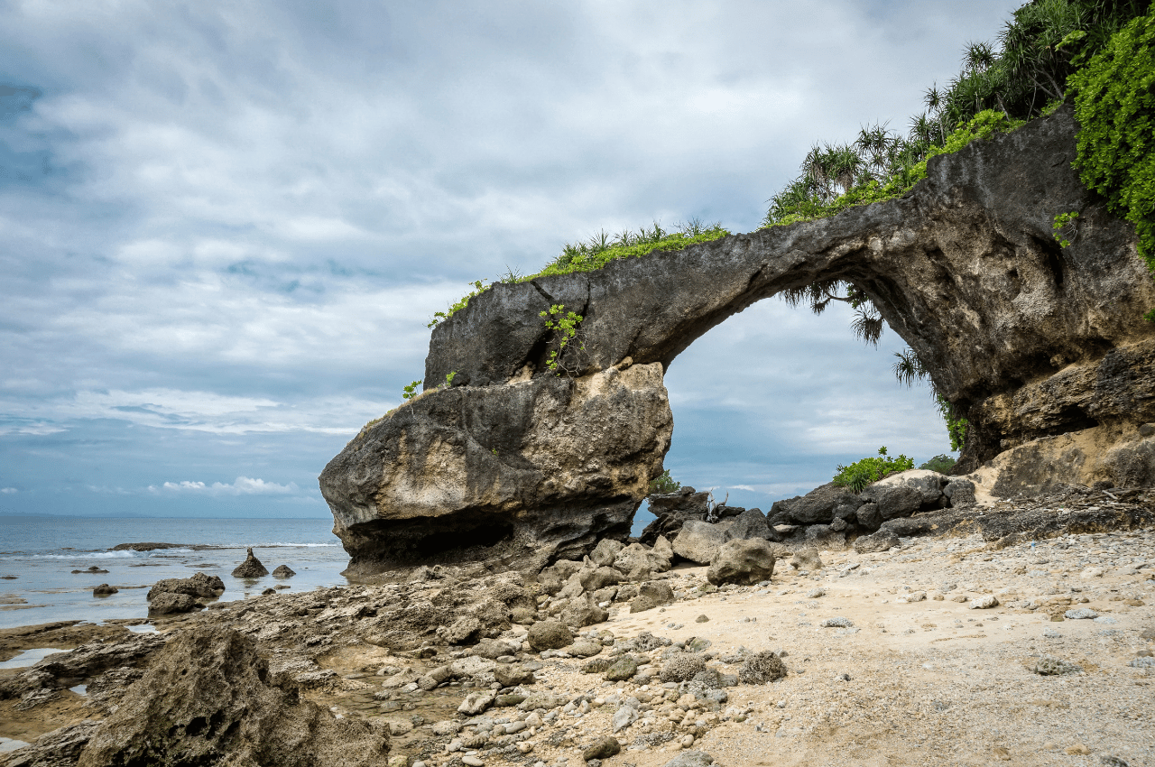 A complete Travel Guide to Neil island